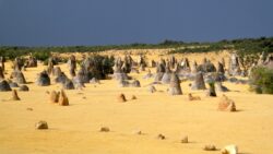die Pinnacles-Wüste mit Tausenden von Kalksteinformationen, die Pinnacles genannt werden die Pinnacles-Wüste mit Tausenden von Kalksteinformationen, die Pinnacles genannt werden