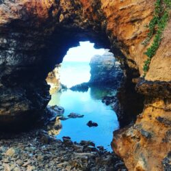 The Grotto The Grotto